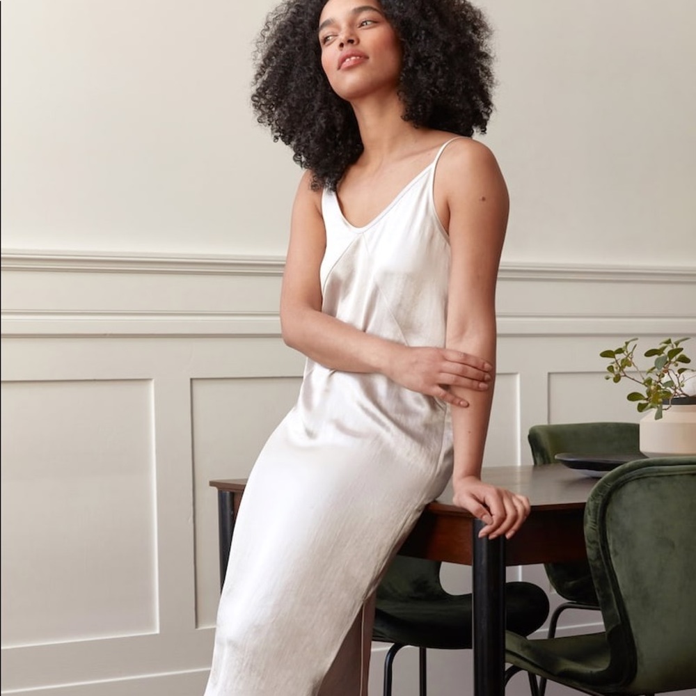 Everlane The Party Slip Dress